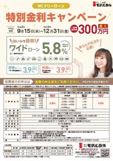 フリーローンチラシのサムネイル