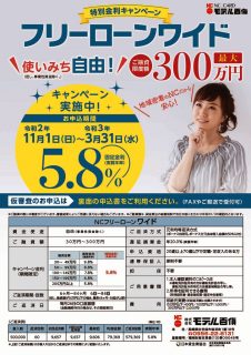 フリーローンワイドのサムネイル
